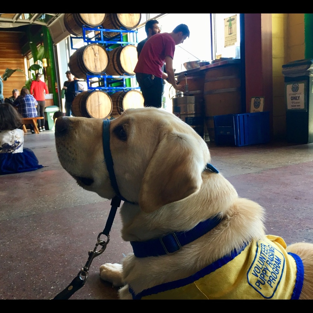 Meet your Posher, Mark